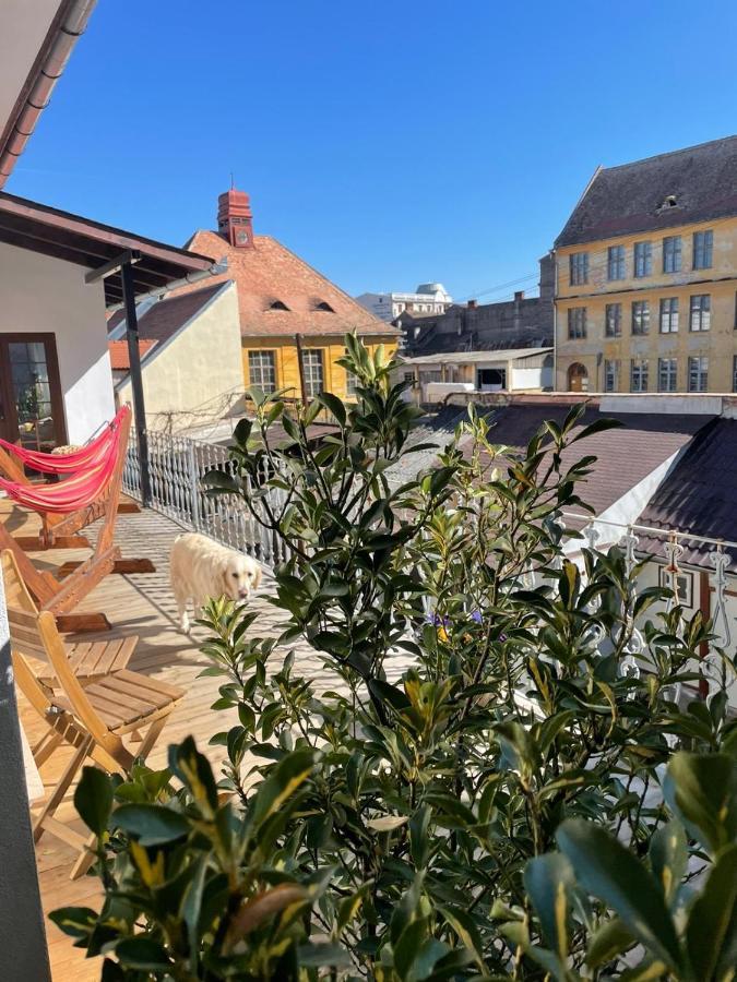 Nordic Home Sibiu Extérieur photo